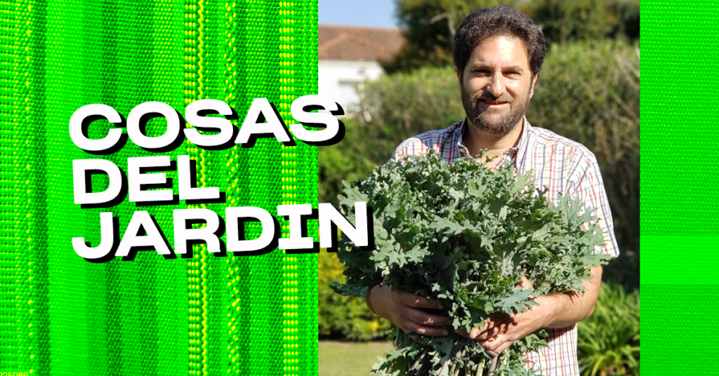 Latin American creator Cosas Del Jardion holds a plant and smiles in an outdoor setting against a colorful green background framing