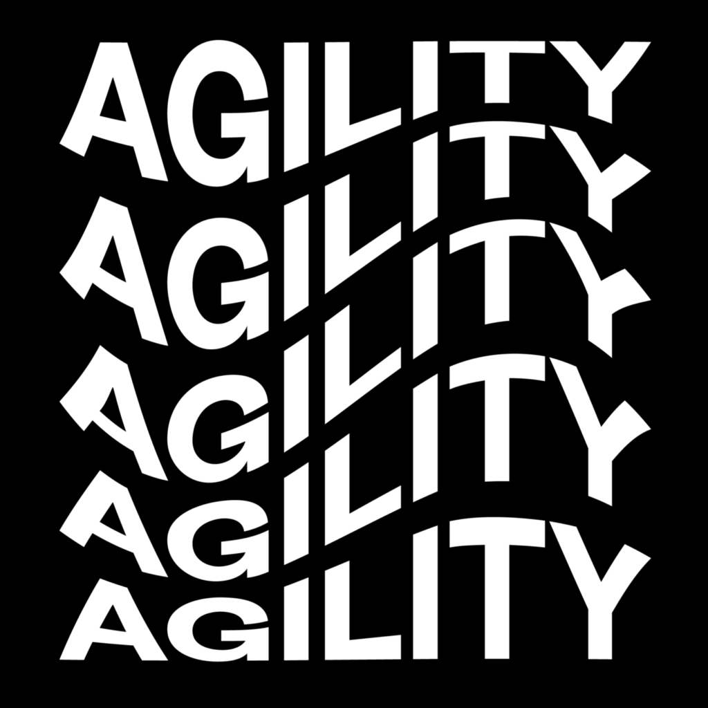 The word Agility appear with curves and in parallel